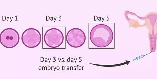 北京代妈38万起-胚胎移植后1至14天 转化表。