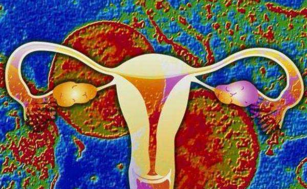 四川华西试管婴儿成功率：美国试管婴儿：患有子宫内膜结核的我还能自己受孕吗？