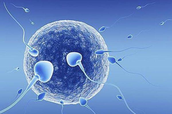 扬州供卵试管助孕自怀：体外受精真的适合所有年龄段的人吗？