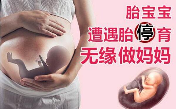 滁州58岁供卵代生：美国的第三代试管婴儿，以确保良好的生产。