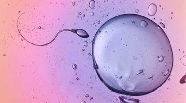 嘉兴55岁供卵试管-体外受精的存活率是多少？