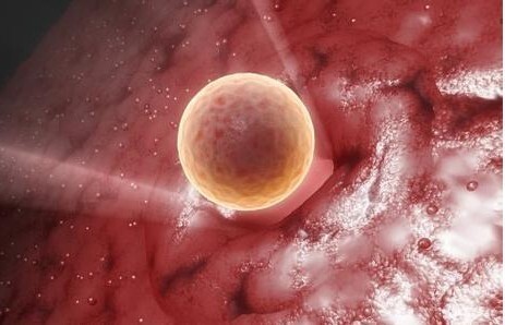 允许患者在试管婴儿胚胎植入后立即行走是否影响成功率？