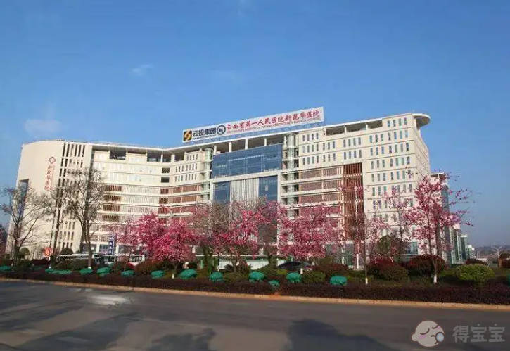 曲靖供卵助孕：云南哪家医院的试管婴儿成功率最高？ 与云南试管婴儿医院排名。