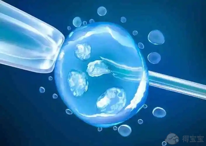 佛山供卵试管助孕：南加州生育中心比佛利山诊所试管婴儿成功率高