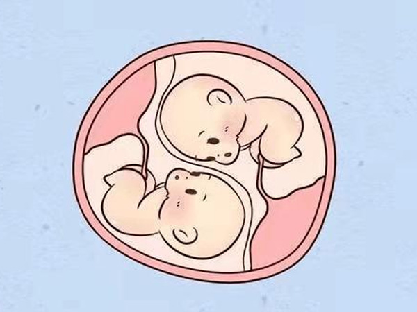 南阳助孕机构咨询：预告你需要知道的格鲁吉亚三胞胎试管婴儿的费用