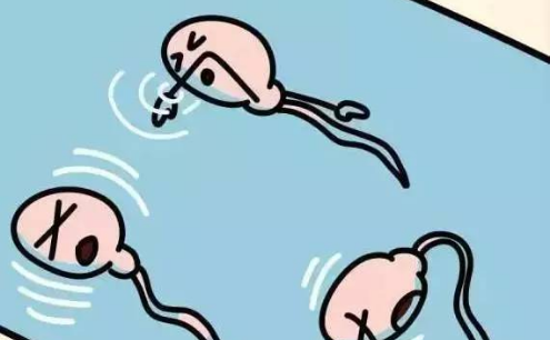 无锡供卵试管包生男孩费用：患有无精症的男性还能生育后代吗？可以做试管婴儿吗？