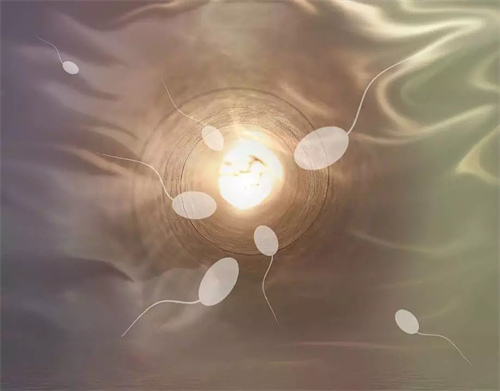 珠海助孕生子生殖中心：海南7家生育中心做试管婴儿有单角子宫! 单角子宫怀孕后的孕期分析。