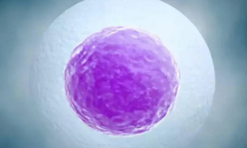 镇江助孕生子中介-2023 在内江的哪些医院可以用捐赠的卵子做试管婴儿治疗？