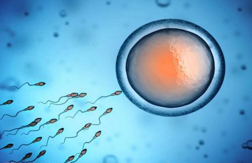澳门单身合法供卵：单身男子仍可实现做父亲的梦想--在日本通过精子捐赠