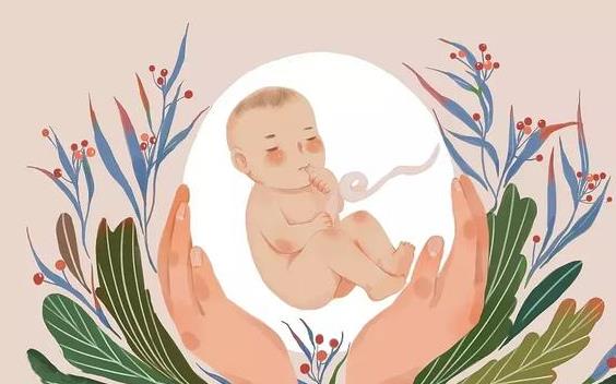 宁波助孕公司助孕：人工授精技术不容小觑，有助于不孕不育患者得到有效治疗