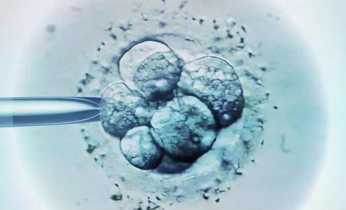台湾53岁助孕龙凤胎-如果您想知道一个三天大的10细胞胚胎是否具有良好的质量，请阅读关于胚胎分级的内容