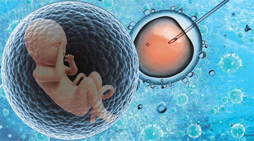嘉兴助孕宝宝高端机构：胚胎的质量越高，婴儿就越聪明？这并不是主要原因