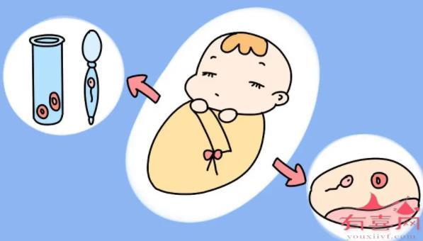 扬州a卵b怀qq群：试管婴儿可以实现同性生育吗？