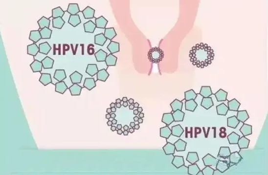 九江合法助孕包性别价格：你知道二价、四价和九价HPV疫苗的区别吗？它不仅指的是年龄
