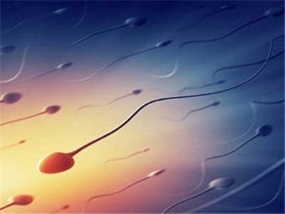 惠州助孕机构咨询：我可以在胚胎移植前进行基因测试吗？