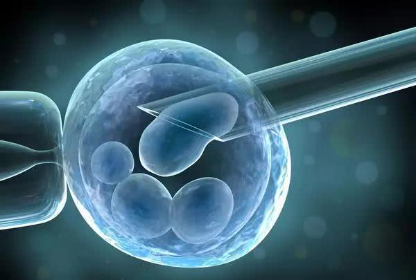 三代试管婴儿胚胎移植失败的征兆是什么？