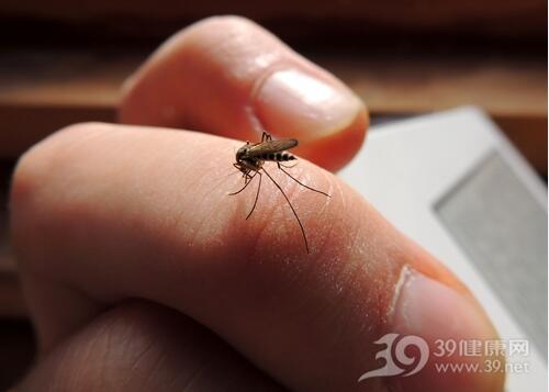 昆明助孕哪家好-哪些驱蚊剂对夏季蚊子最好？疾控中心推荐这些