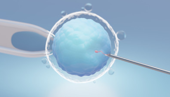 杭州供卵中介服务-哪家试管婴儿诊所的胚胎移植成功率最高？你可以在这篇文章中找到答案