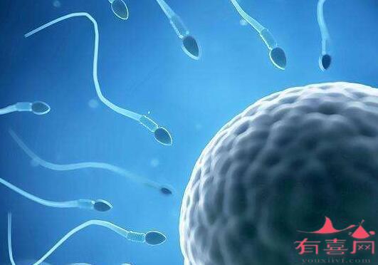 哈尔滨助孕中介网-胚胎移植失败的症状有哪些？